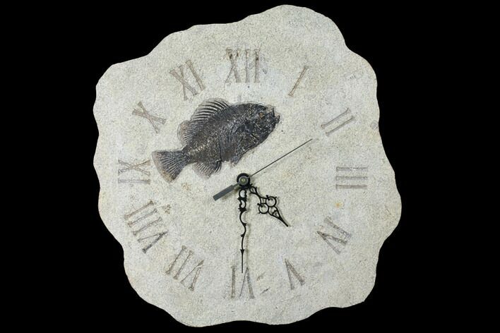 Tall Clock With Cockerellites Fish Fossil - Wyoming #132877